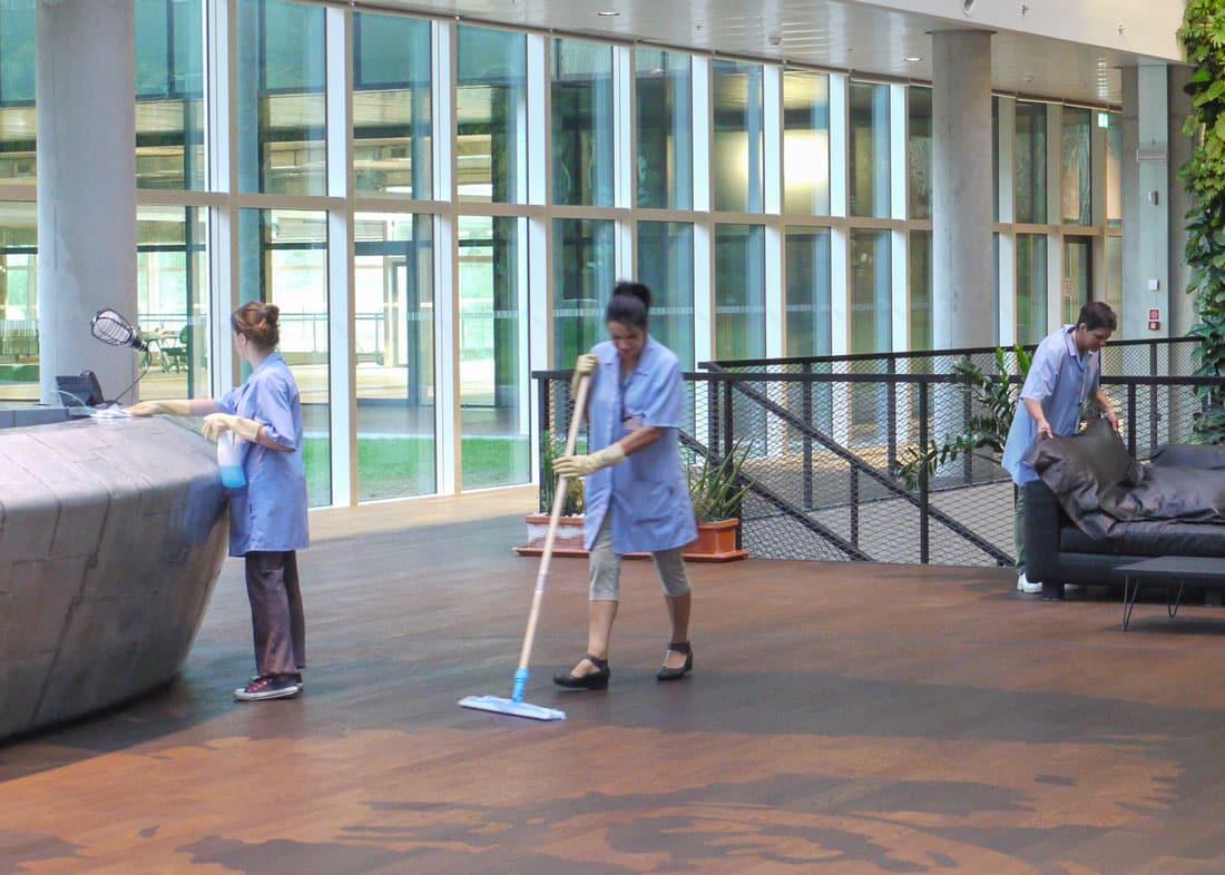 Chi Siamo 3 1-Bottazzi-E-Vancini--Servizi-Homepage