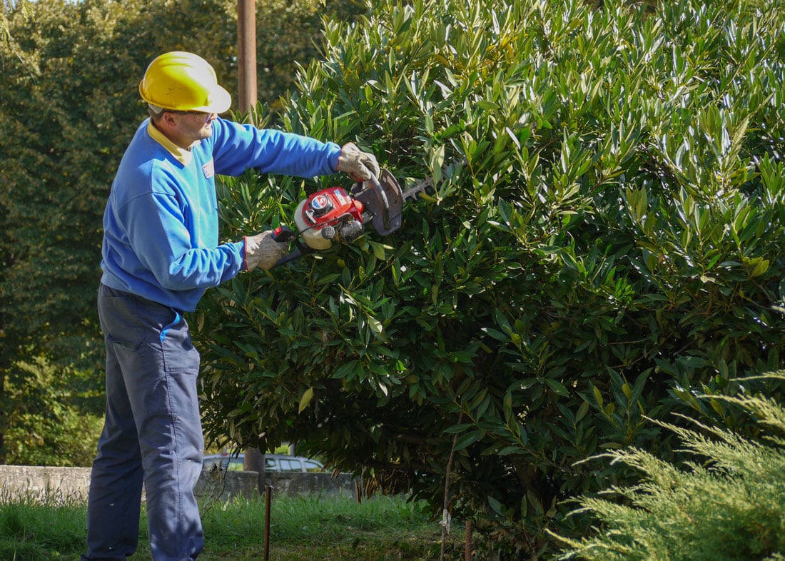 Chi Siamo 7 4-Bottazzi-E-Vancini--Servizi-Homepage