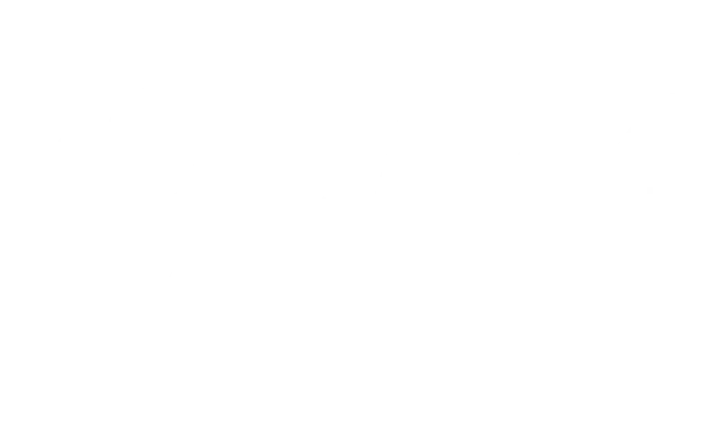 Igiene E Sanificazioni Bottazzi &Amp; Vancini - 4