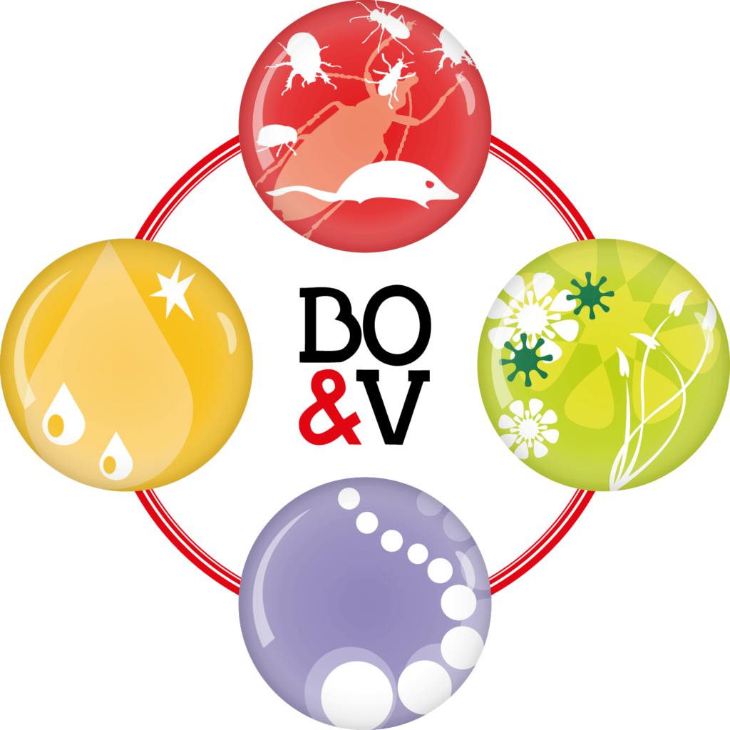 Bottazzi &Amp; Vancini Bottazzi E Vancini - 3