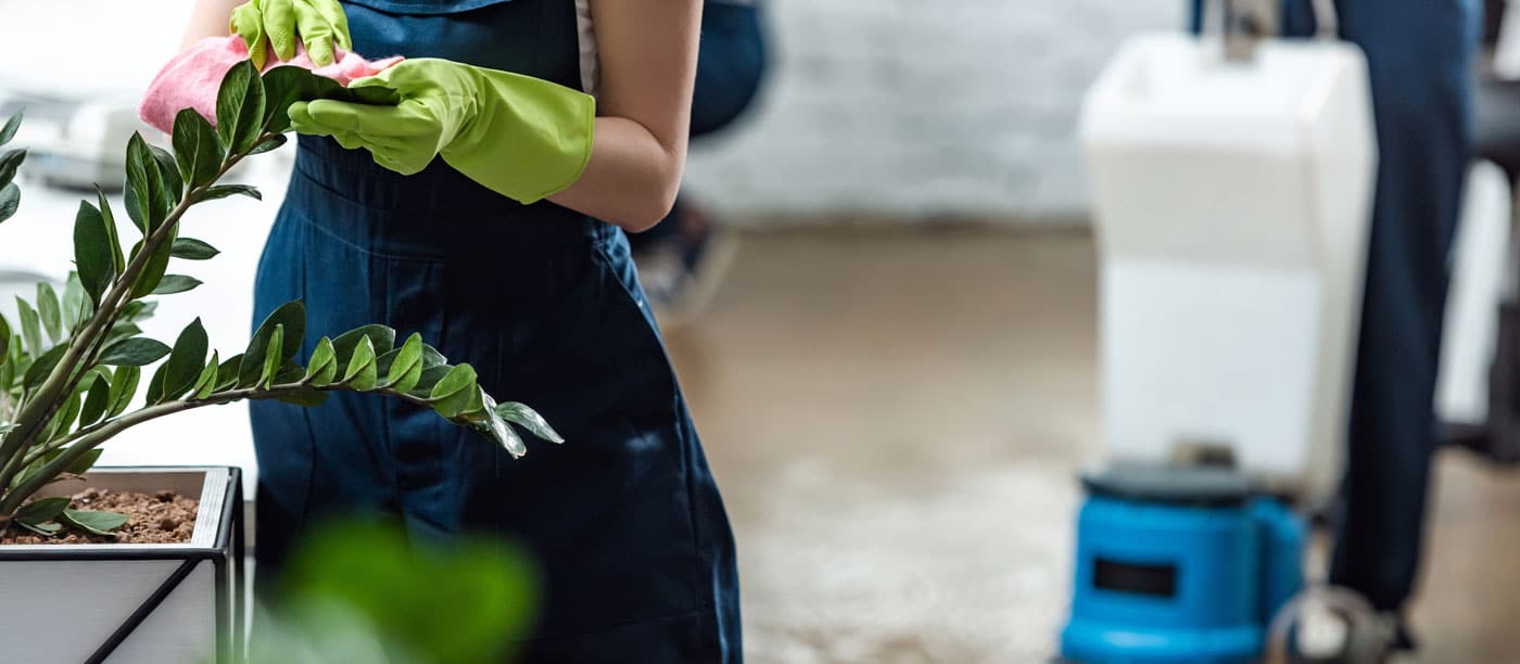 Bottazzi &Amp; Vancini Bottazzi E Vancini - 11