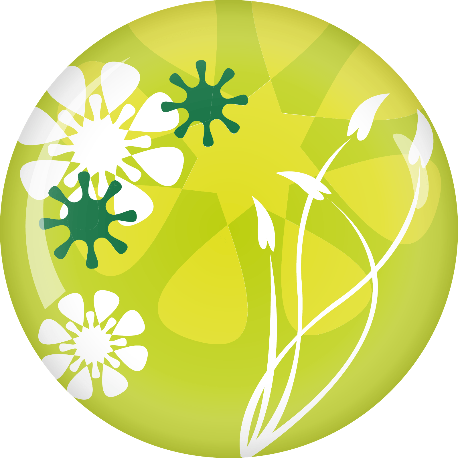 Servizi Bottazzi E Vancini - 6