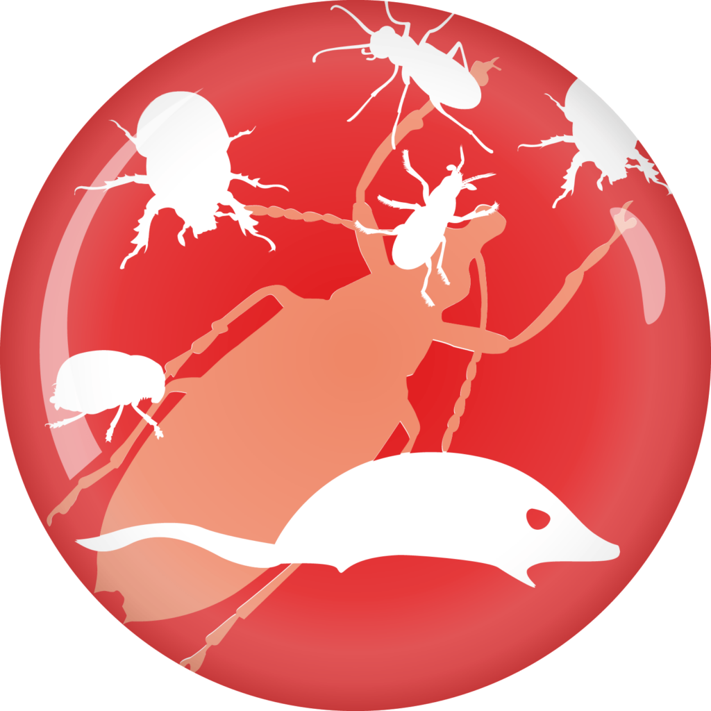 Bottazzi &Amp; Vancini Bottazzi E Vancini - 6