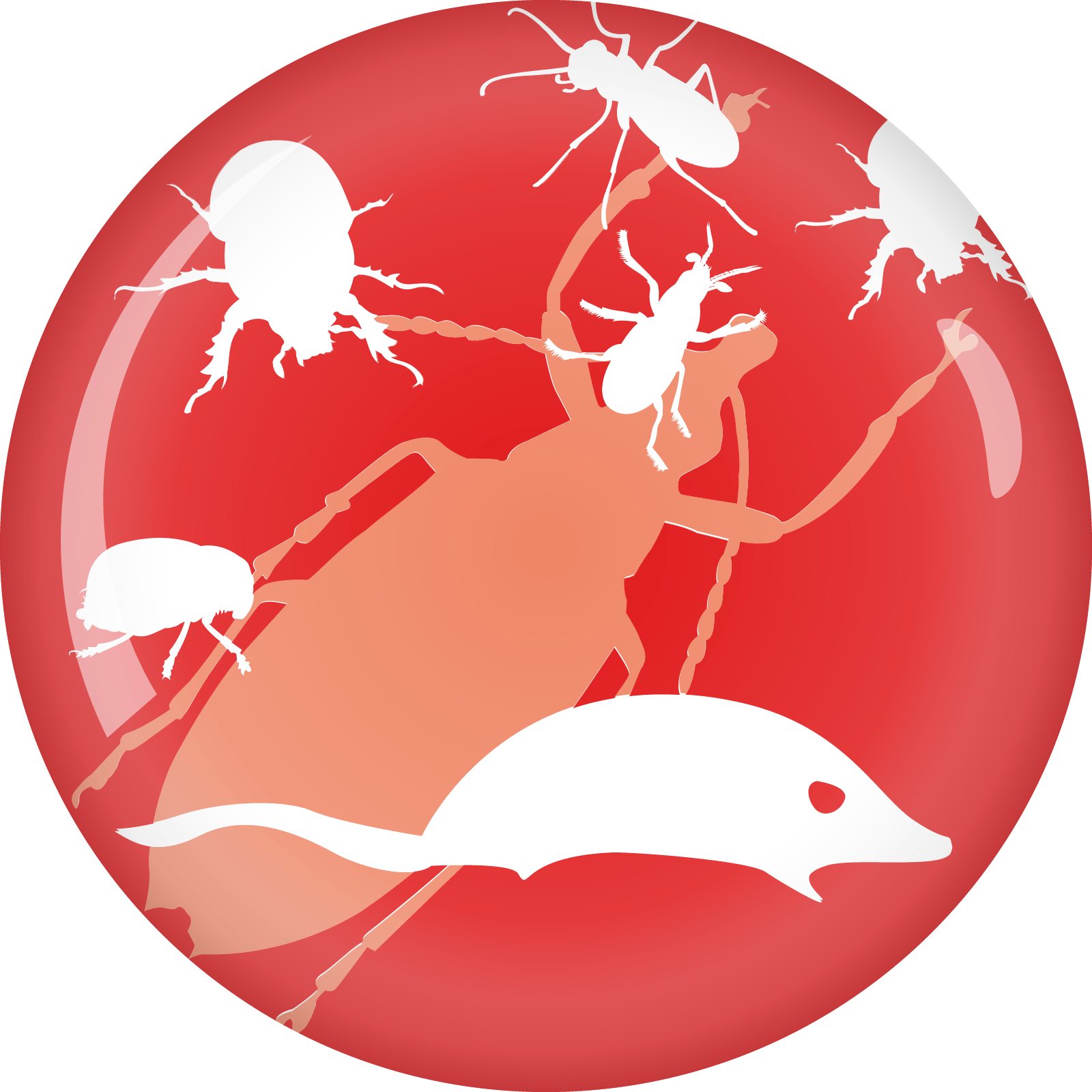 Servizi Bottazzi E Vancini - 5