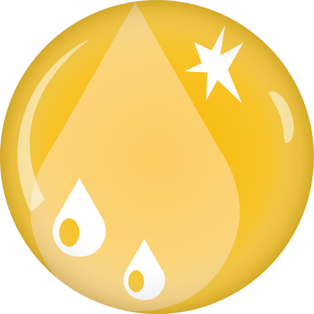 Bottazzi &Amp; Vancini Bottazzi E Vancini - 5