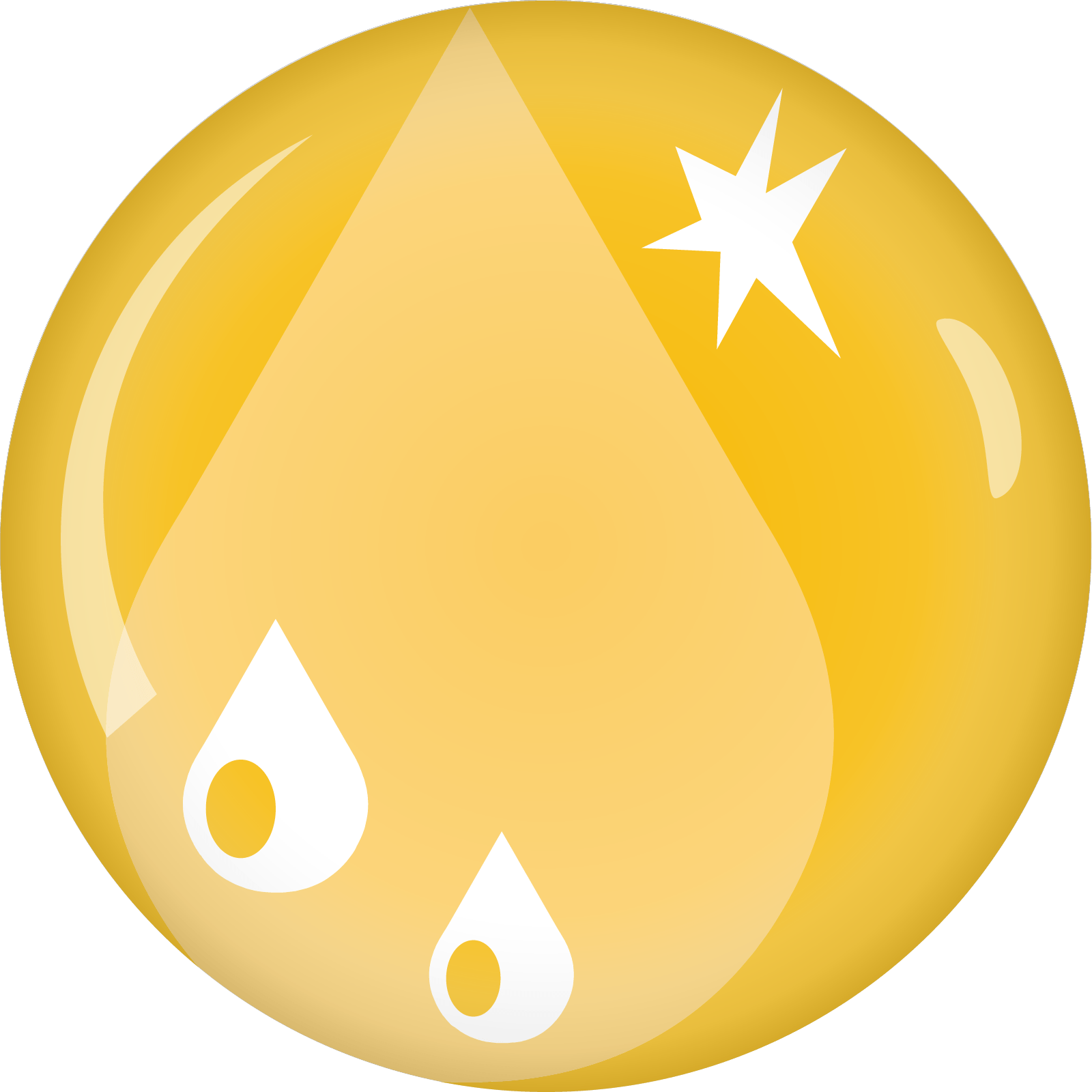 Servizi Bottazzi E Vancini - 4