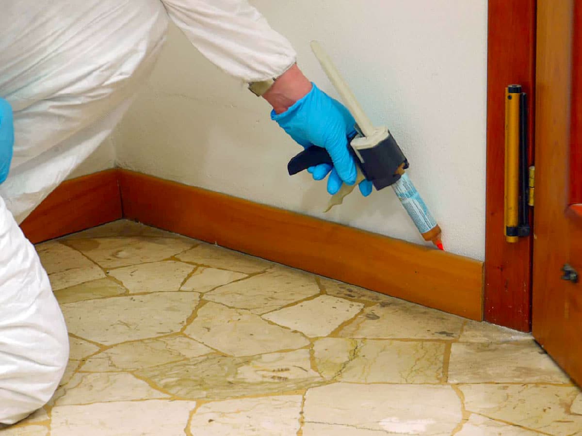 Disinfestazioni E Derattizzazione 4 Derattizzazione-Pistolabottazzi E Vancini Vicenza - Disinfestazione E Derattizzazione -