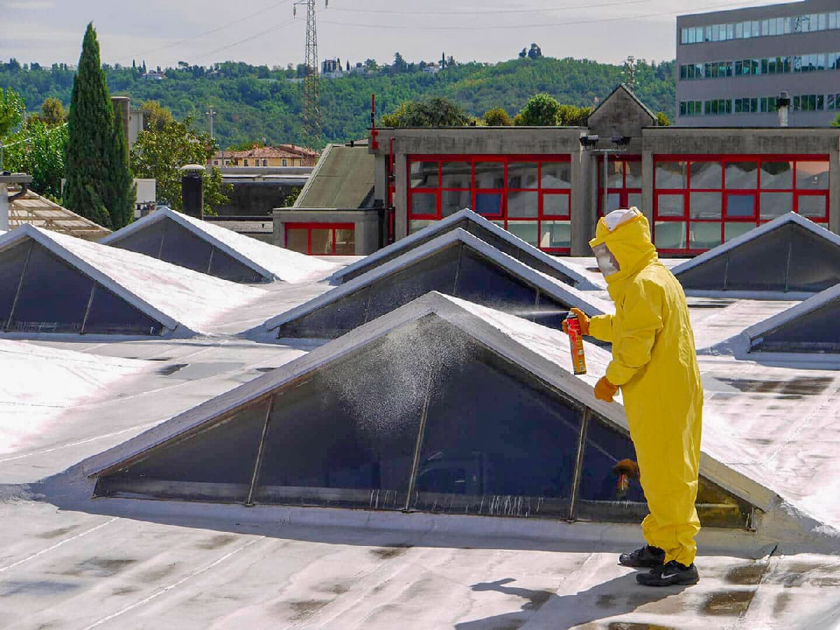 Disinfestazioni E Derattizzazione 6 Pulizia-Tettibottazzi E Vancini Vicenza - Disinfestazione E Derattizzazione -