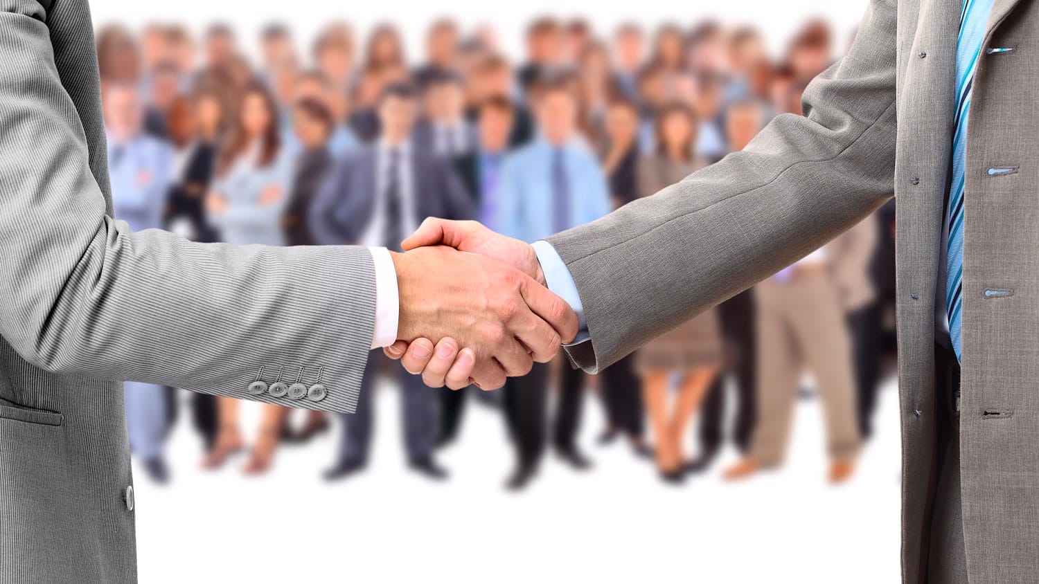 Organizzazione Bottazzi E Vancini - 3