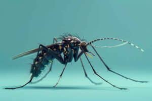 Allarme Dengue in Veneto Primo Caso Autoctono e Strategie di Contenimento