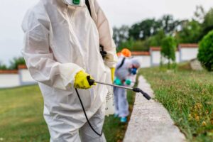 Facility management in outsourcing: vantaggi concreti per le PMI nel 2026