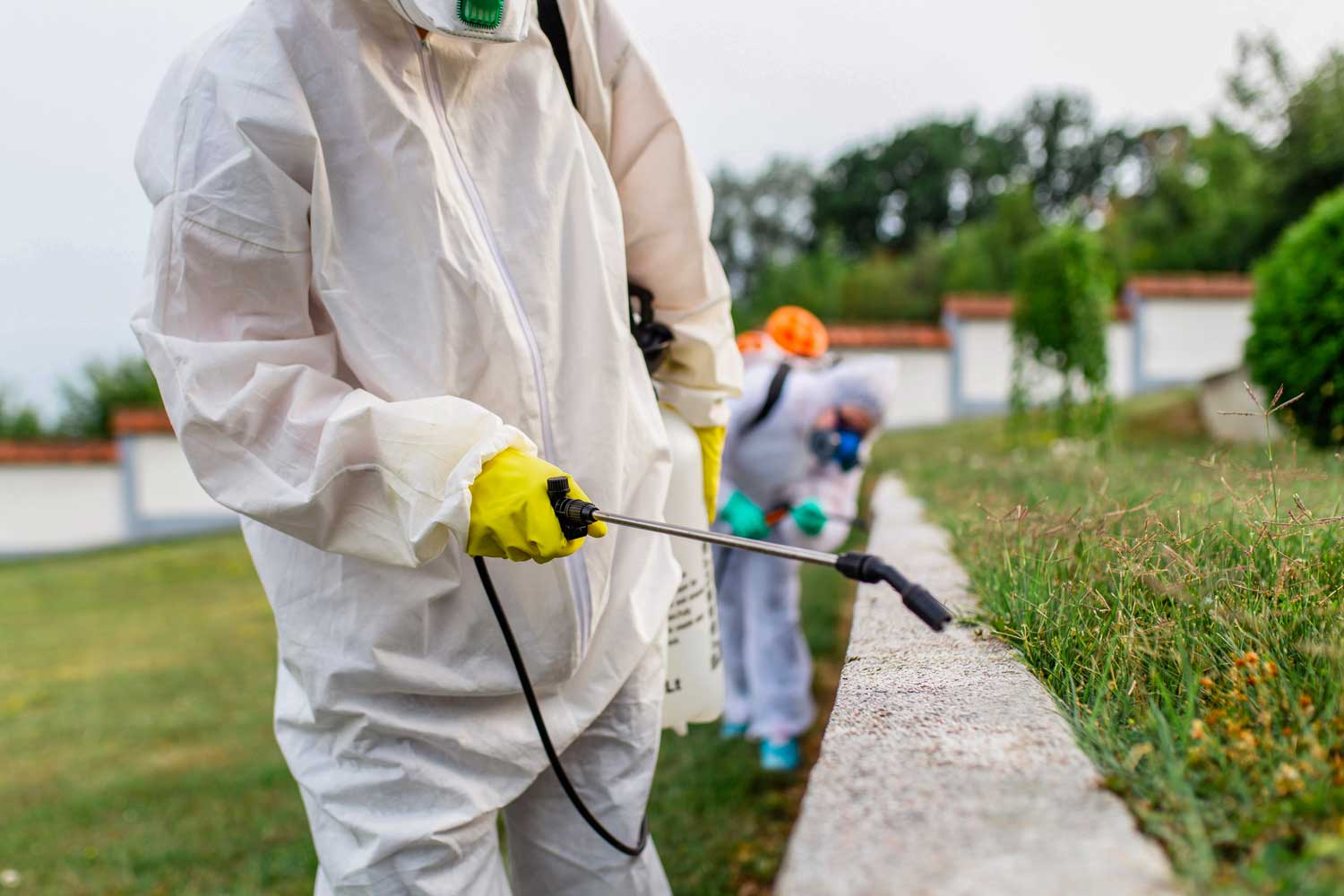 Homepage 14 Facility Management In Outsourcing: Vantaggi Concreti Per Le Pmi Nel 2026