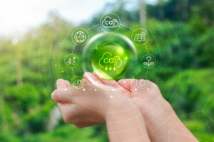 Cosa sono i criteri ambientali minimi e come scegliere un'impresa di pulizie ecologica
